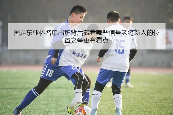 国足东亚杯名单出炉背后藏着哪些信号老将新人的位置之争更有看点